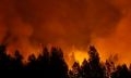 лесной пожар в брединском районе