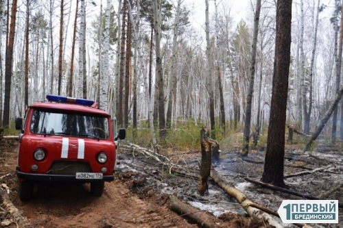 «Авиацию надо было применять еще в наших лесах!» Жители Оренбургской области рассказывают о пожаре