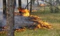 лесные пожары в брединском районе