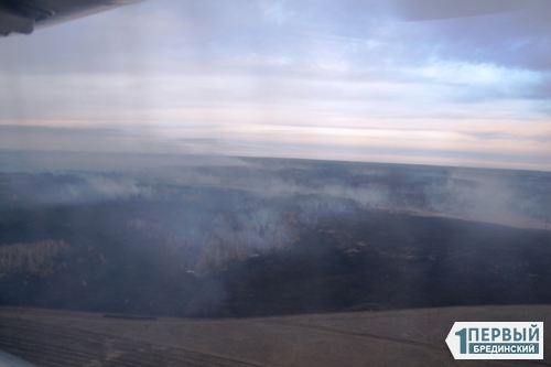 «Авиацию надо было применять еще в наших лесах!» Жители Оренбургской области рассказывают о пожаре